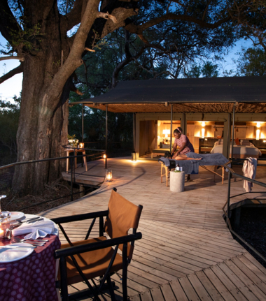 Machaba Kiri Camp Wildlife Sightings October 2025 African Wild Dog Sighting