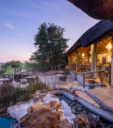 Machaba Ngoma Safari Lodge Wildlife Stories November 2025 Lodge
