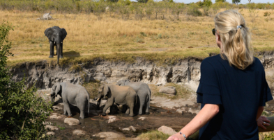 Machaba Zimbabwe Deteema Experiences Viewing Elephants From Lodge Viewing Area