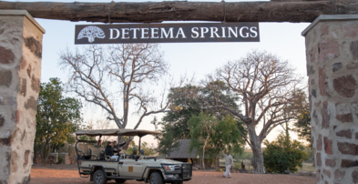 Machaba Zimbabwe Deteema Camp Arrival From Safari Entrance