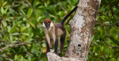 Experiences Carousel Image 5