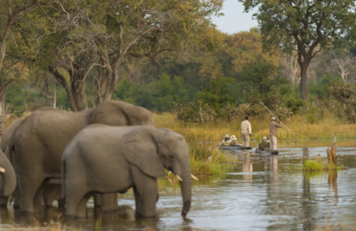 Web Machaba Safaris Secret Season Mokoro Elephant