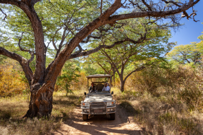 Machaba Verneys Experience Safari Mvr 010