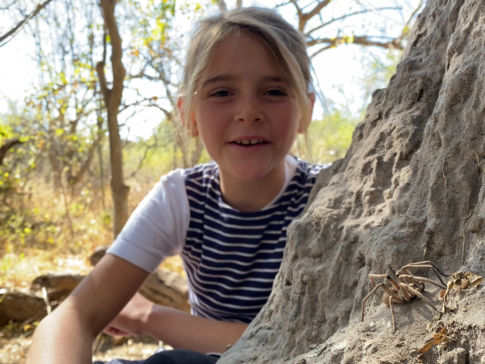 On Safari Nala Episode 17 Baboon Spider Gallery