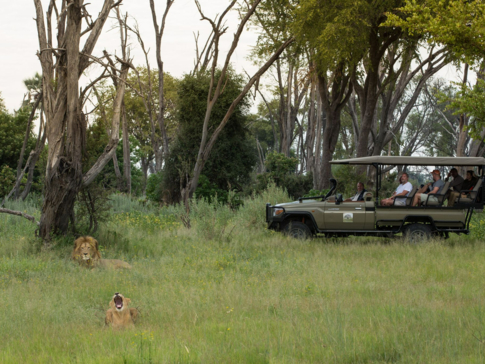 Botswana Kiri Camp Lion Safari