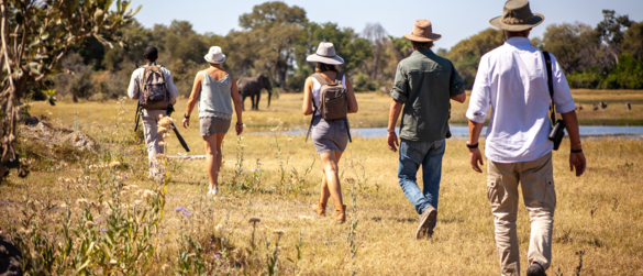 Walking Safari