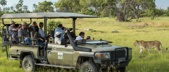 Game Drives