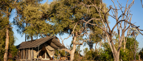 Machaba Gomoti Accommodation Tent Mvr 002