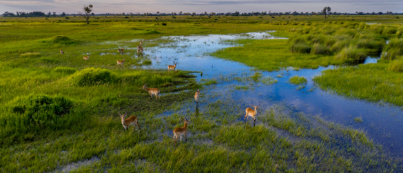 Helicopter Horizons   Okavango Delta 118