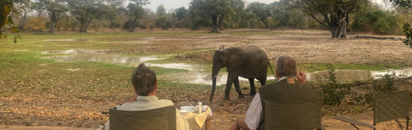 Machaba Web Our Story Travellers Safari Experience 01