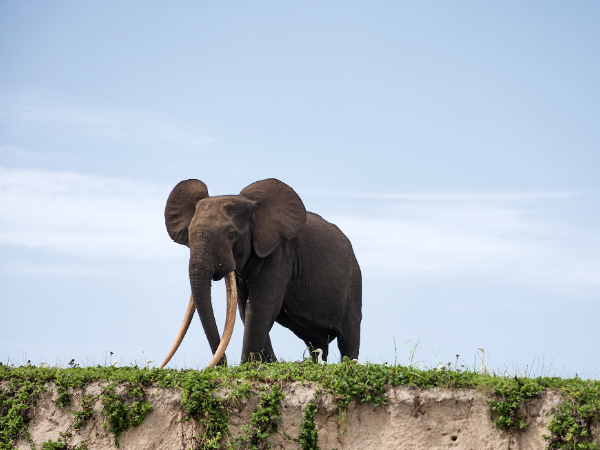 Machaba Wild Sette Cama Eco Camp Sette Cama Exploration Package