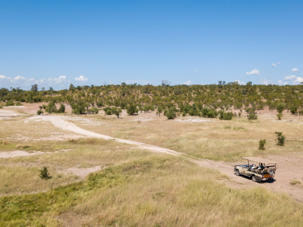 Machaba Deteema Experience Safari Mvr 002