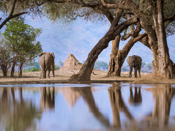 Machaba Safari Packages Mana Pools Package Highlight Biomes