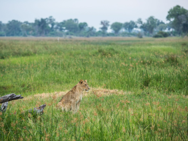 Machaba Deteema Accommodation Lodge Mvr 045