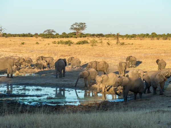 Mm Verneys June 2016 02