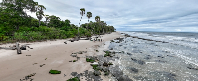 Machaba Wild Machaba Wild Activities Coastal Walk Aerial