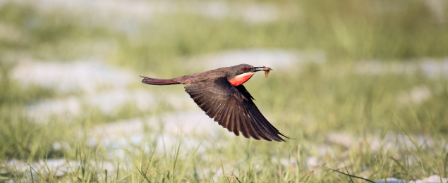 Experiences Carousel Image 9