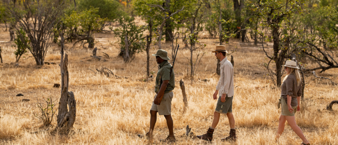 Machaba Safaris   Zimbabwe   Mana Pools National Park   Mana River Camp   Walking Safari