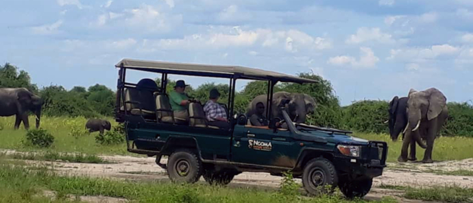 Machaba Botswana Chobe Ngoma Sighting February 2020 Safari