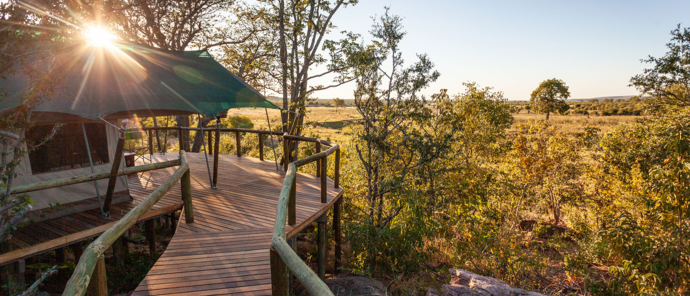 Zimbabwe Hwange Deteema Springs Sightings June 2021 Cta Room