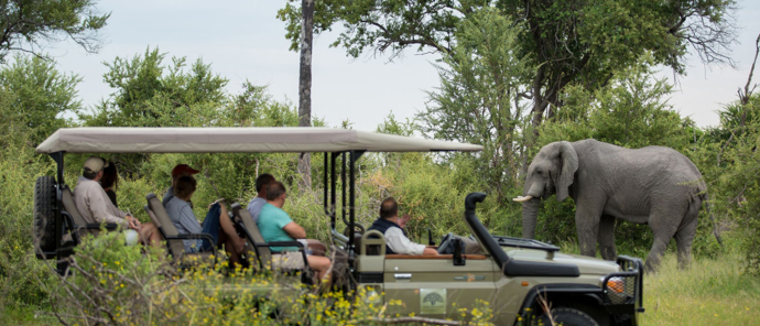 Machaba Safaris   Botswana   Gomoti Plains   Game Drive