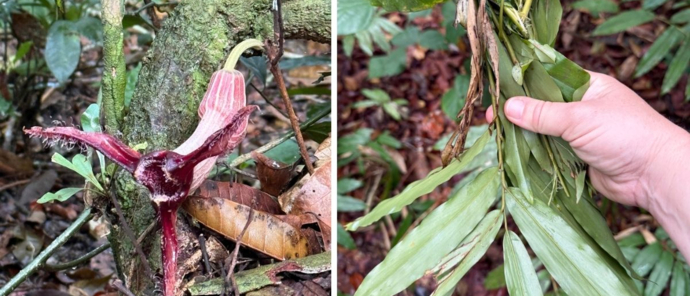 Sette Camp Field Notes Layout 1