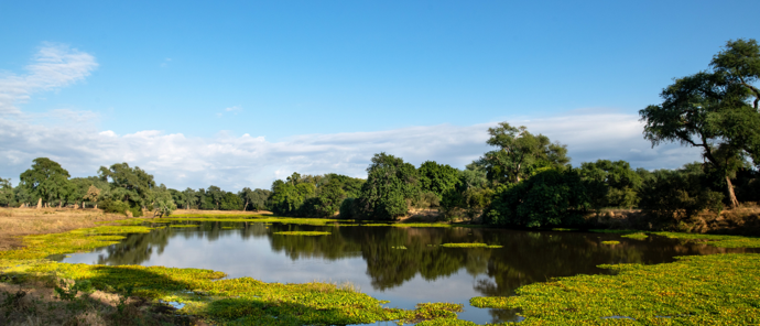 Zimbabwe Mana Pools Ingwe Pan Pool