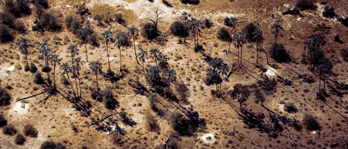 Botswana Gomoti Camp View