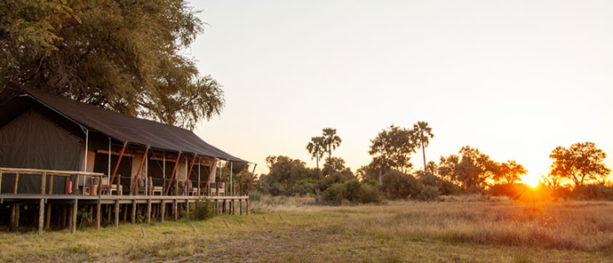 Machaba Botswana Welcome Back Home 02