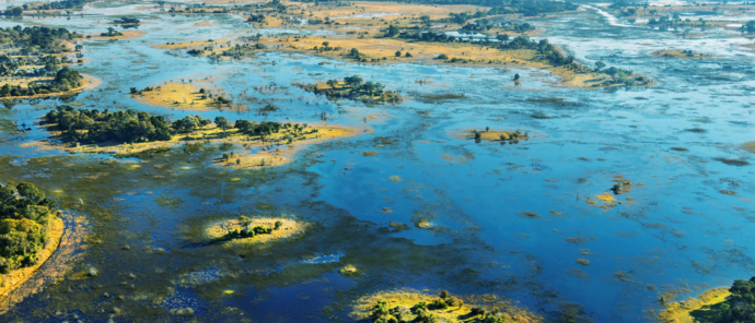 Botswana   Okavango Delta   Gomoti Camp   Floodplain