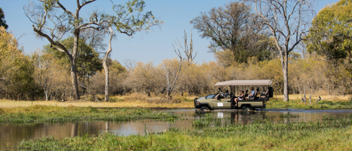 Botswana   Okavango Delta   Machaba Camp   Wildlife Stories   Feb 2022   Machaba Camp Game Drive