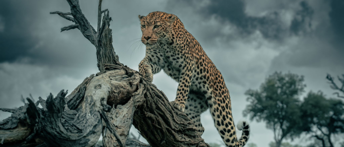 Solly Levi Machaba Camp Feb 2023