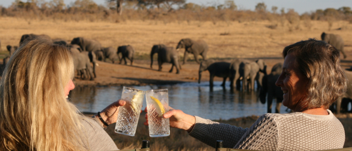 Machaba Safaris Zimbabwe Verneys Camp Wildlife Stories July 2022 Sundowners