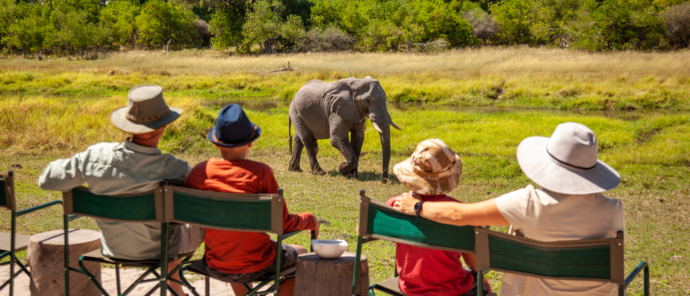 Machaba Guide Feature Guests