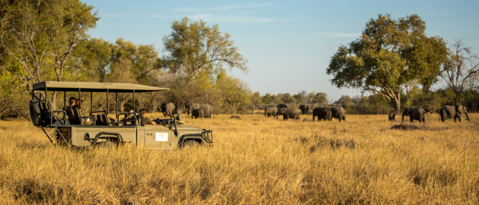 Botswana Machaba Camp Sightings September 2021 Game Drive
