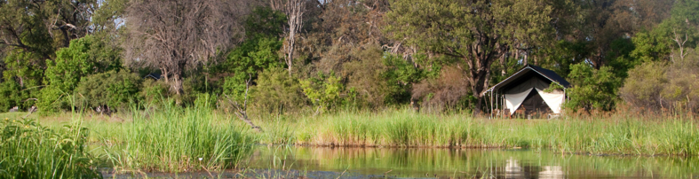 Machaba Botswana Okavango Delta Machaba Camp Gallery Rooms River Room View