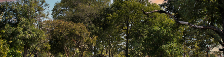 Machaba Zimbabwe Ingwe Camp Zambezi River In Front Tents