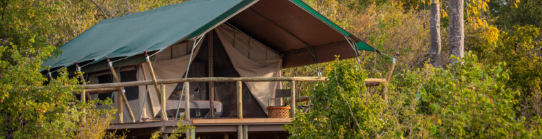 Machaba Zimbabwe Deteema Room Tent Elevateed In Canopy