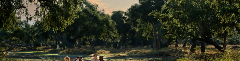 Machaba Zimbabwe Ingwe Experiences Guided Walking Safari