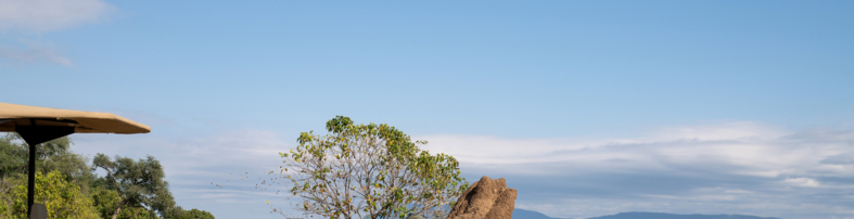Machaba Zimbabwe Mana River Experiences Drinks Along Zambezi River