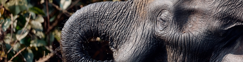 Experiences Carousel Image 2