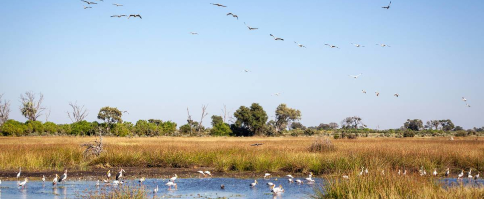 Botswana Resident Rate Special Cta Strip