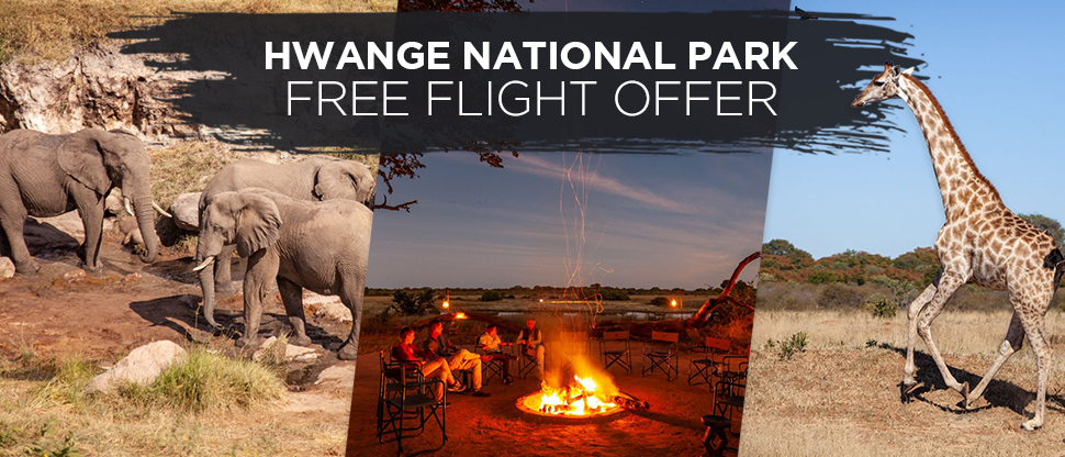 Machaba Zimbabwe Safaris Hwange Flight Offer 2022 Banner 2