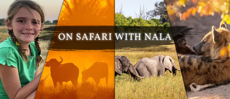 Machaba Botswana Nala Safari