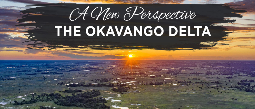 Machaba Helicopter Header 1200x600 02