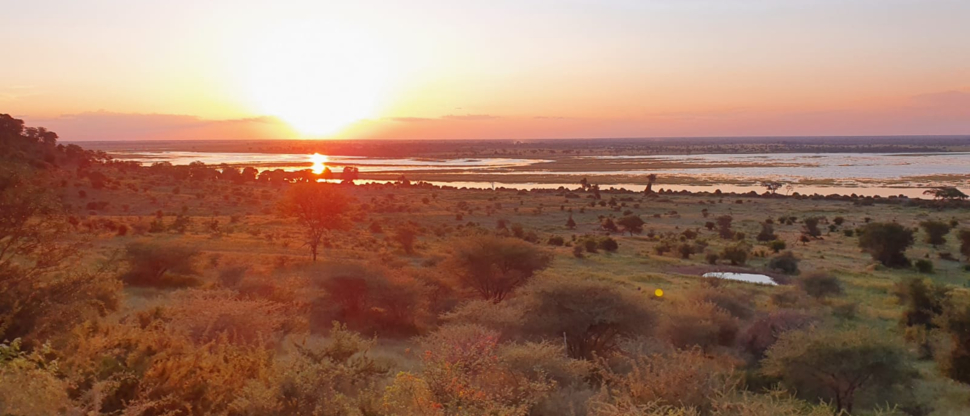 Machaba Botswana Chobe Ngoma Sighting March 2020 Body Image Sunset