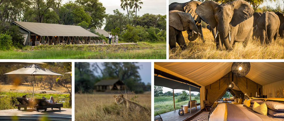 Botswana Resident Rate Special Gallery