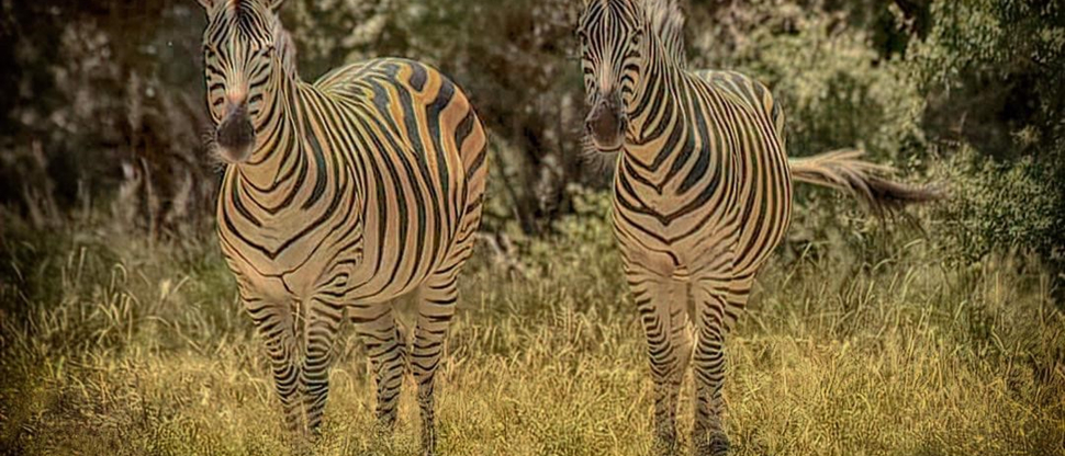 Verneys March Wildlife Sightings